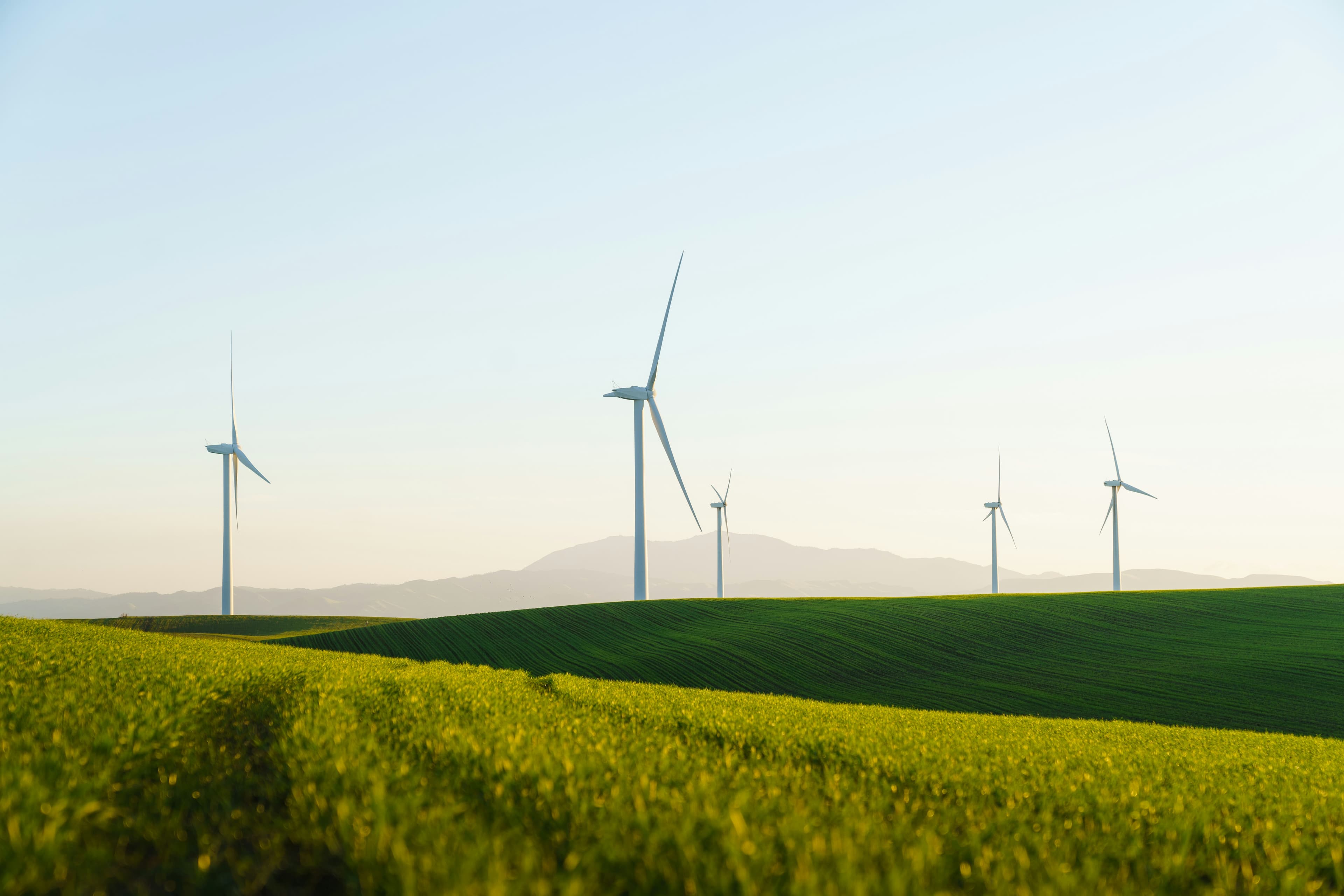 Windenergie als Kontext fuer laufende CBAM- und CO2-Prozesse